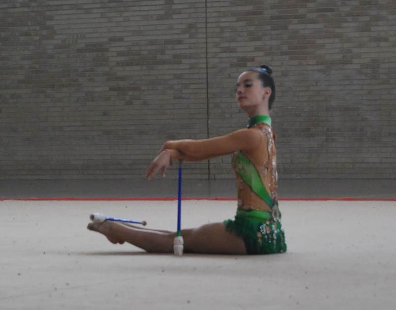 Tres gimnastas navarros en el Campeonato de Espa&ntilde;a